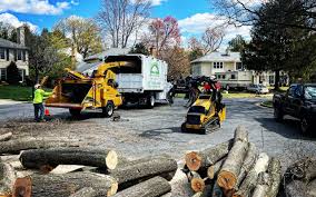 How Our Tree Care Process Works  in  West Pittston, PA